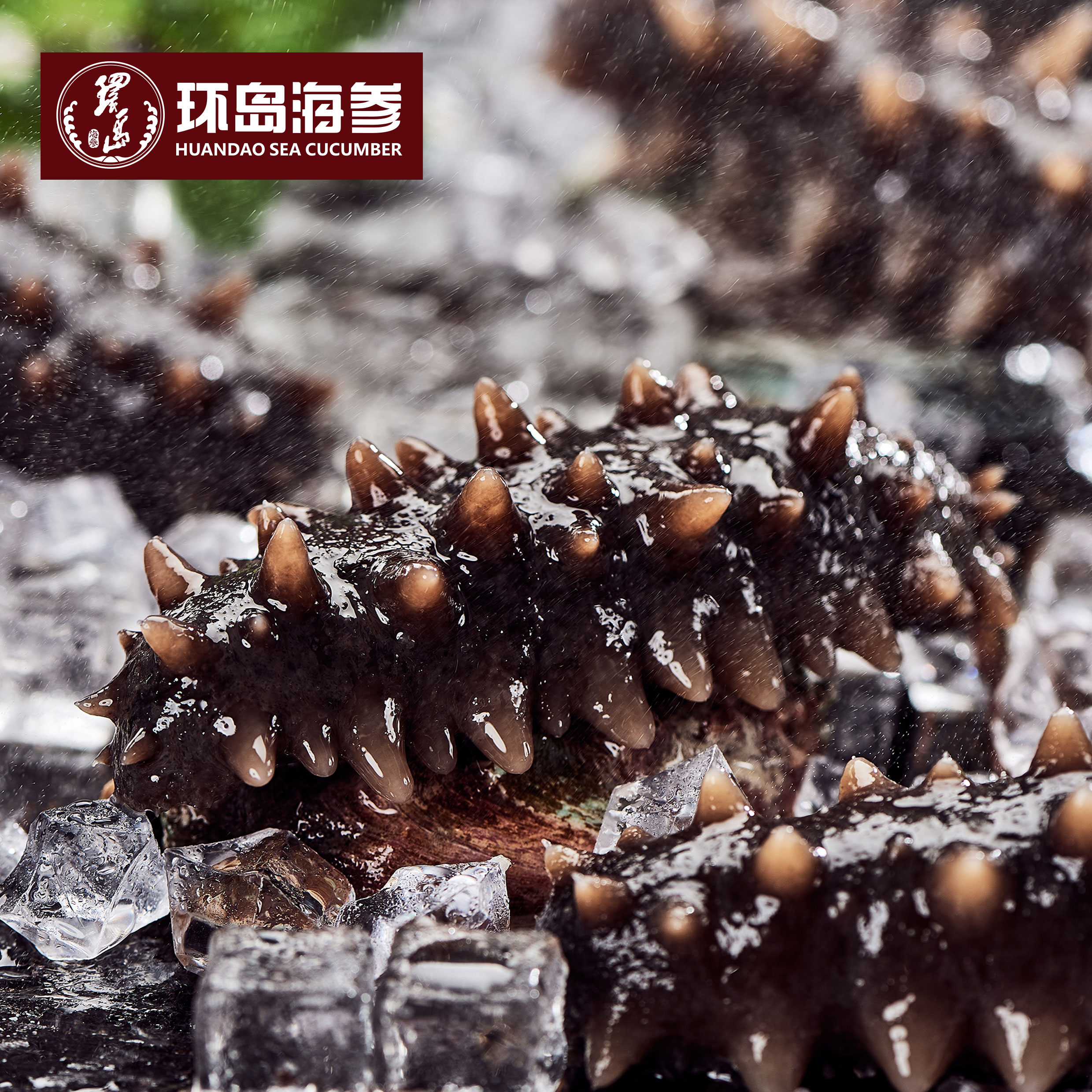 XPJ·娱乐(中国游)官方网站