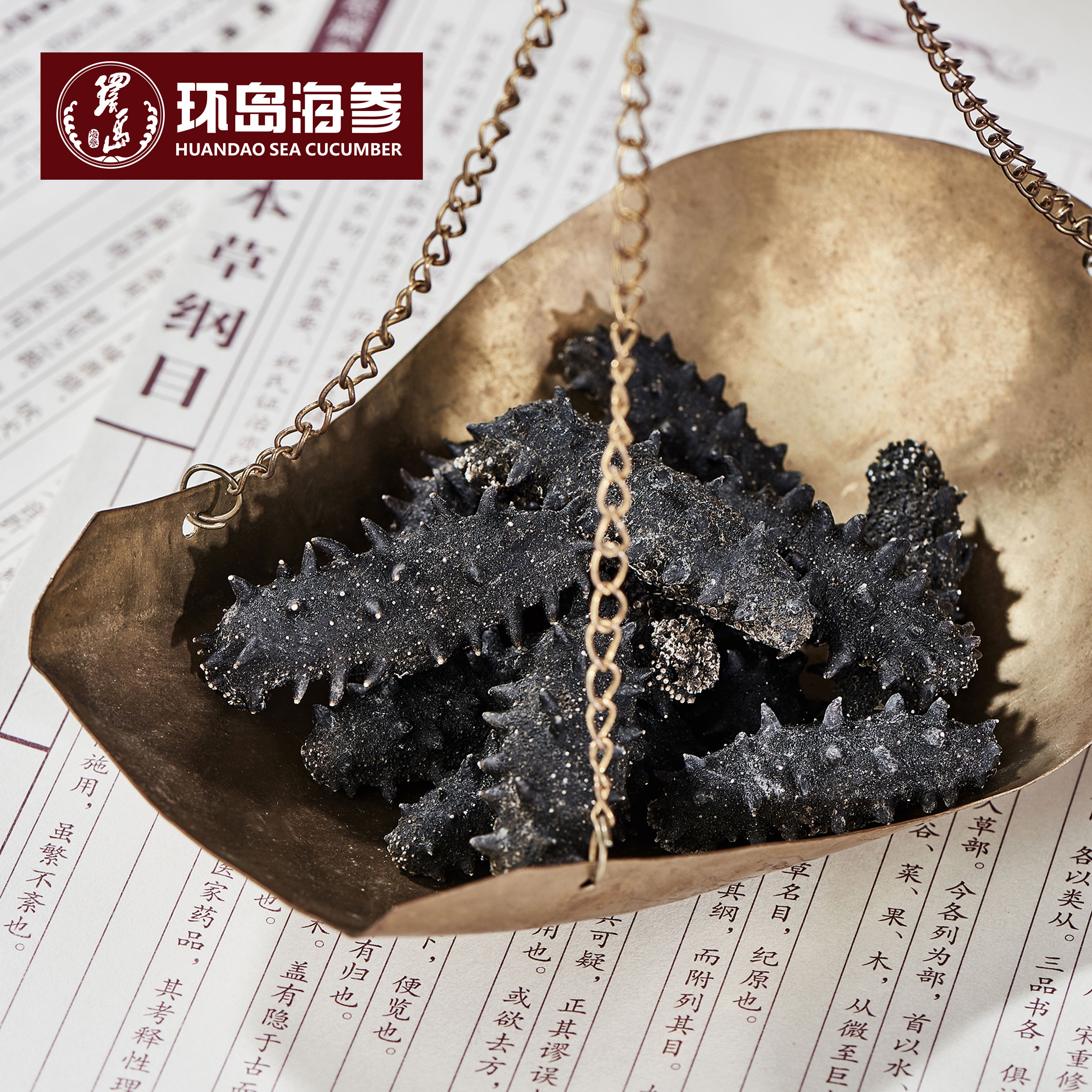 XPJ·娱乐(中国游)官方网站